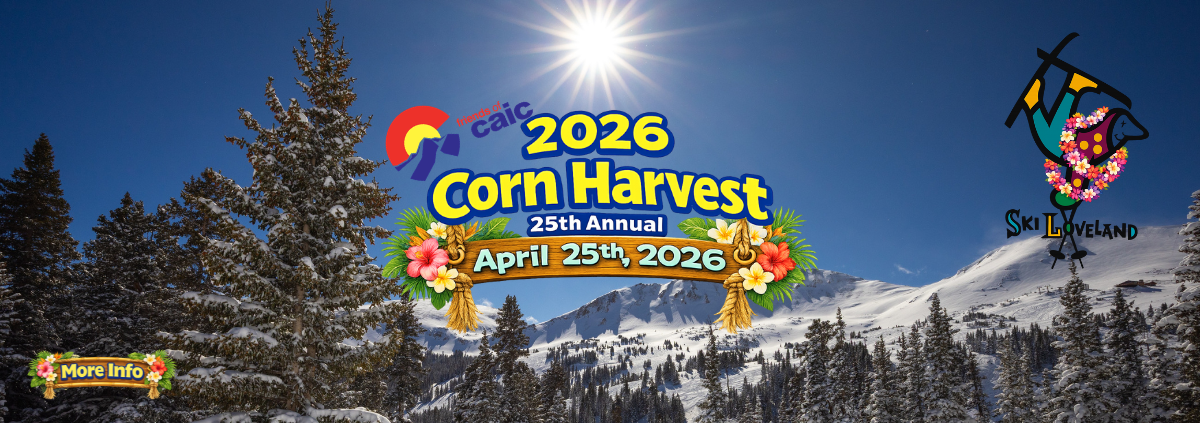 Untitled design (41)